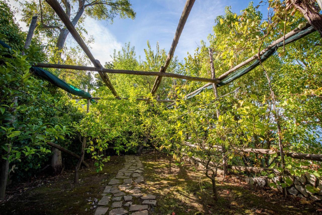 Casa Angelica Villa Sorrento Buitenkant foto
